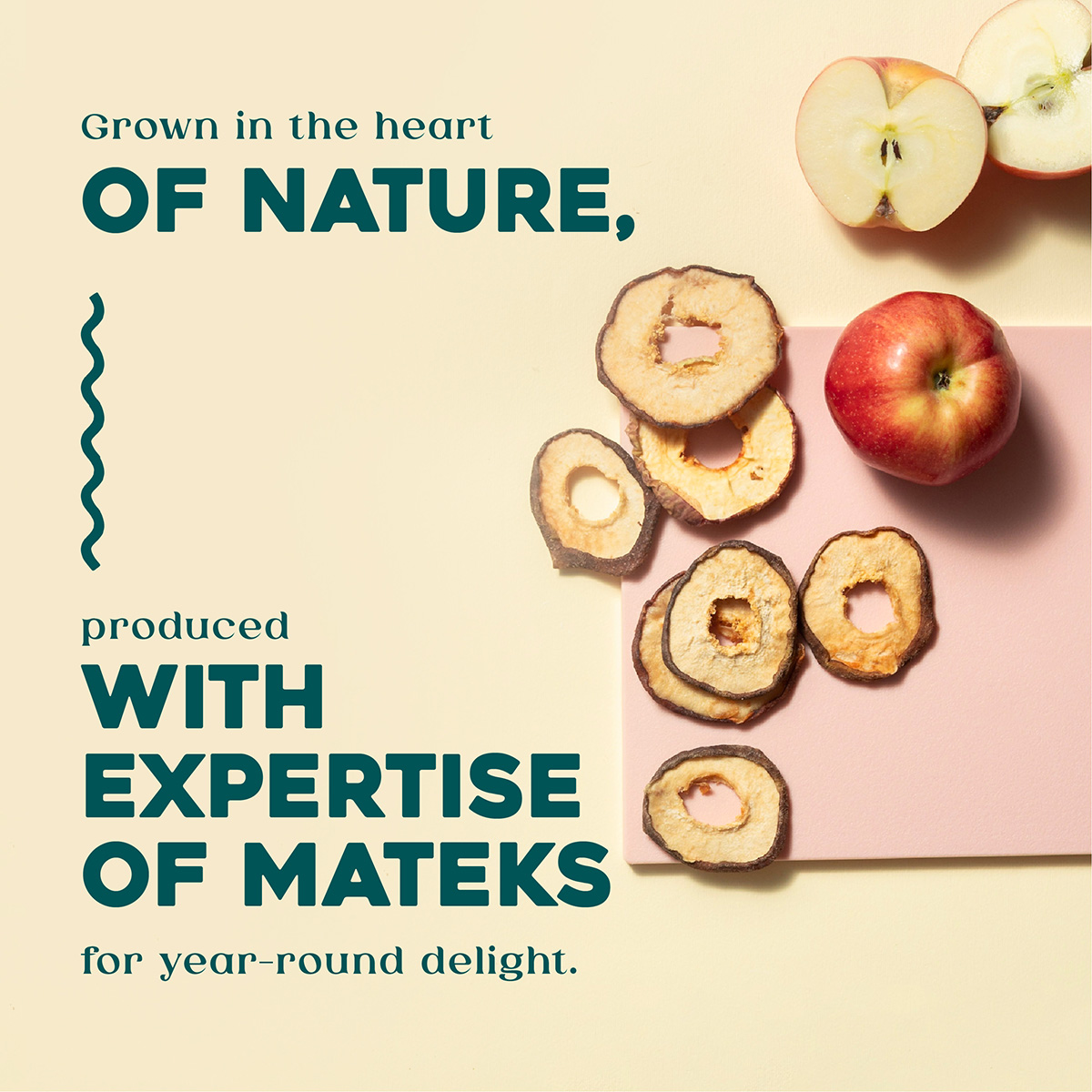 lorem ipsum dolor sit