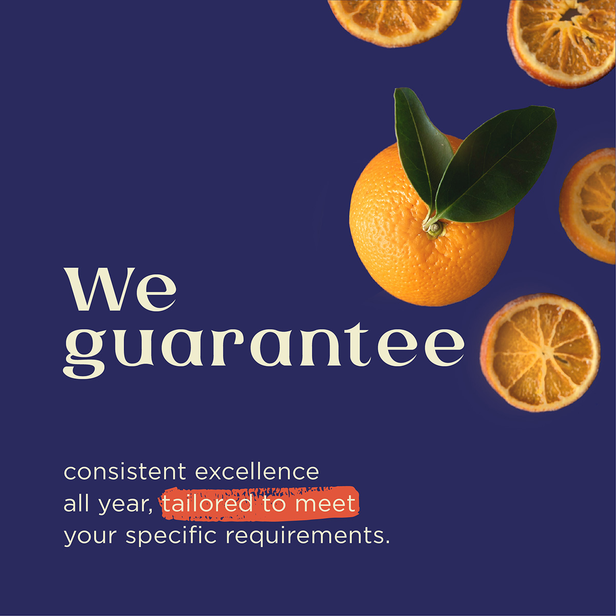 lorem ipsum dolor sit