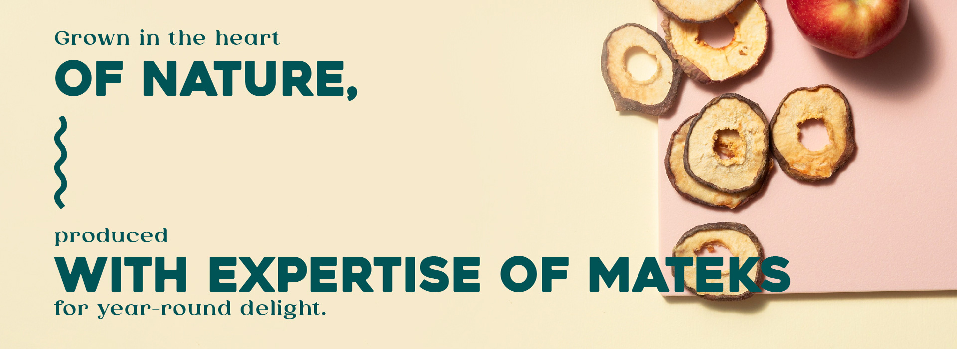 lorem ipsum dolor sit