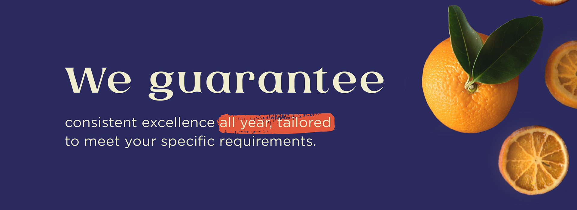 lorem ipsum dolor sit